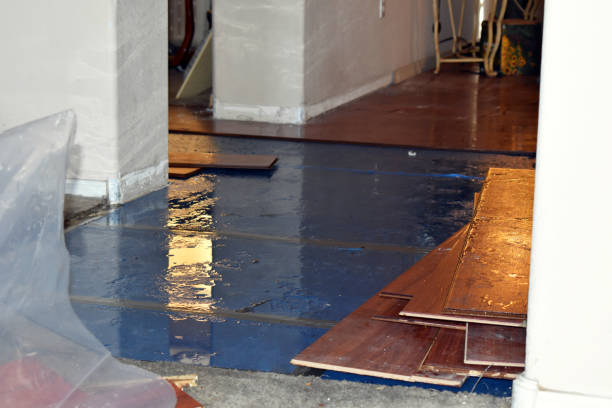 Professional Burst Pipe Cleanup technician working in Kim, CO