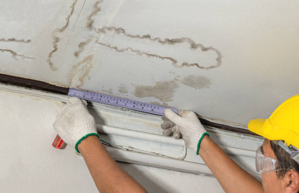 Reliable Burst Pipe Cleanup contractor in Kim, CO by Water Damage Irwin